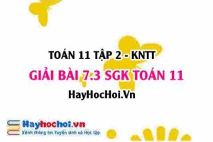 Bài 7.3 SGK Toán 11 Tập 2 Kết nối tri thức